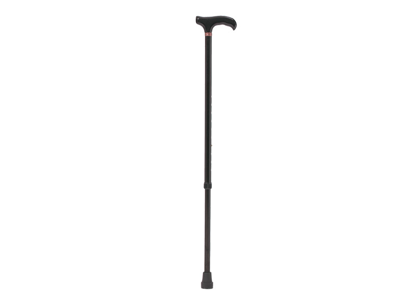 Walking Stick